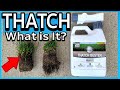 What is Thatch and How to Manage it! 🦠 Improving the Health of Your Lawn (Soil Microbiology)