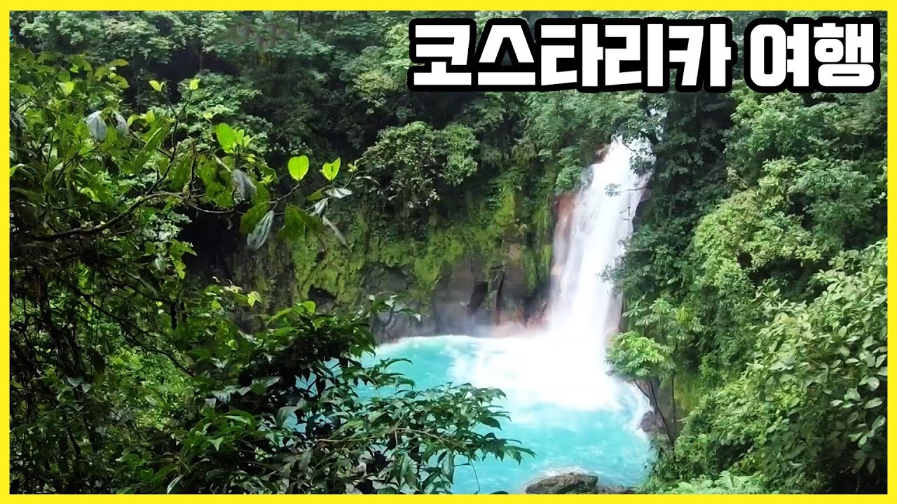 바다거북이 알을 낳는 장면이 바로 눈앞에 펼쳐지는 곳! 코스타리카 여행 Traveling Costa Rica (KBS_20210814)