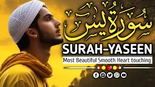 Heart touching voice surah yaseen recitation | سورة ياسين | সূরা ইয়াসিন | Zikrallah786