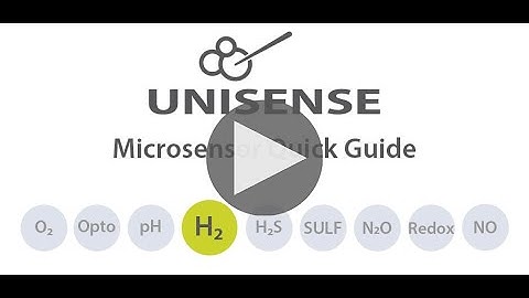 Quick Guide - H₂ Microsensors