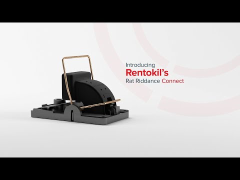 Introducing The Rat Riddance Connect | Rentokil Pest Control Ireland