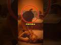 Katseye Risked Their Lives For Their Music Video #katseye
