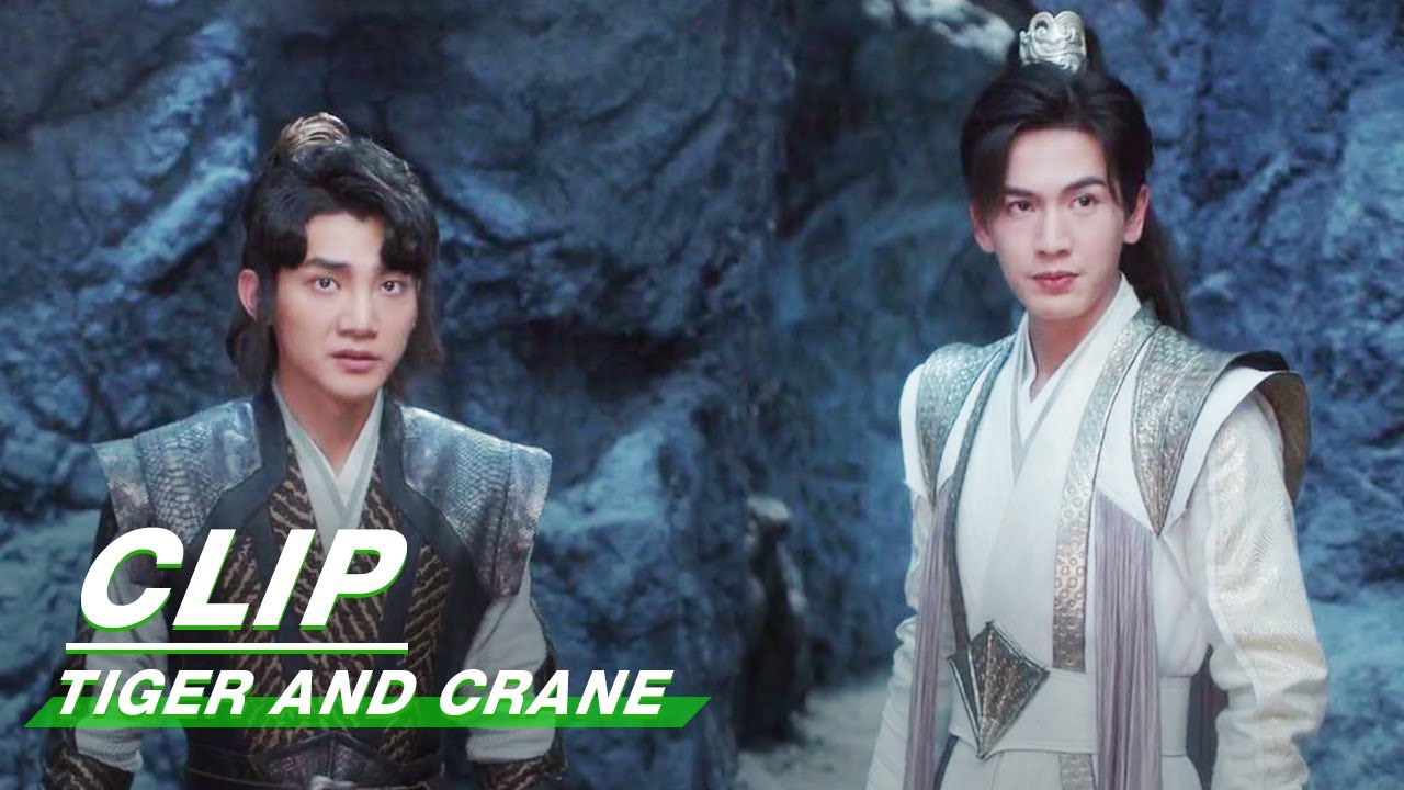 Qi Xiaoxuan Works Together  Tiger and Crane EP36    iQIYI