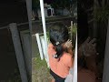 tadi aku putar-putar sQuishynya mau coba lembutnya... tuh kena rambut segala