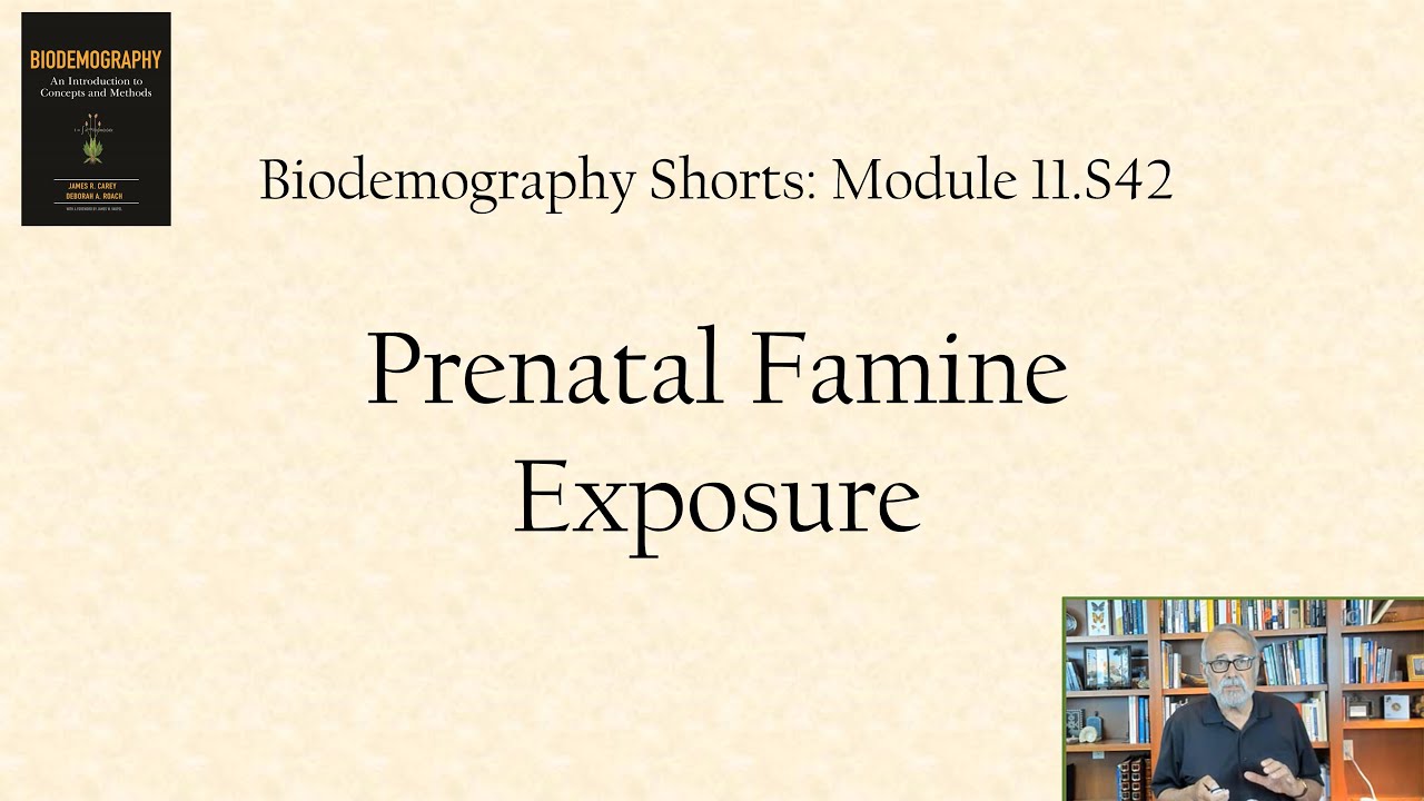 Prenatal famine exposure