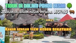 4 Hotel Rekomendasi Liburan di Malang | REVIEW HOTEL MALANG