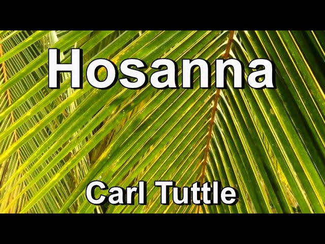 Hosanna - Carl Tuttle (Lyrics) class=