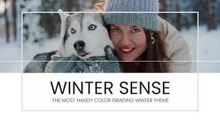 Winter Sense Color Grading LUT Presets screenshot 3
