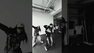 Fashion Cortis Fashion