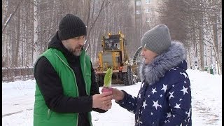 видео Дарим цветы не только на праздники