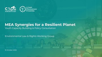 MEA Synergies for a Resilient Planet: Youth Capacity Enhancement on the #RoadtoUNEA