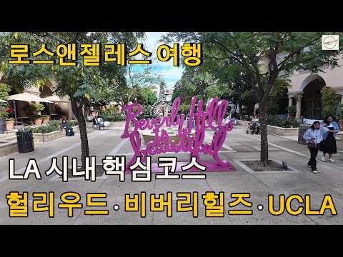 헐리우드 연세대본점