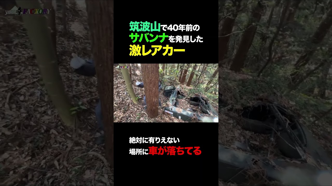 謎の車 A rare car discovered in a 40-year-old Savannah on Mount