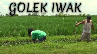 GOLEK IWAK - Komedi Wagundeso