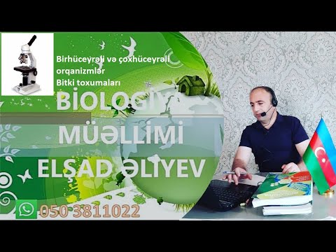 VI sinif. Birhüceyrəli və çoxhüceyrəli canlılar.Bitki toxumaları (Elşad müəllim)