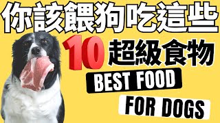 整理這10種【狗應該吃的超級食物】請問還缺哪些?狗可以吃的食物2023 Top 10 Best Food For Dog