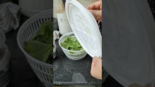 Celebrity IKEA SALAD SPINNER REVIEW & DEMO | Get Crispy Greens Every Time!#shortsfeed#tips#shorts#shortsfeed Profile