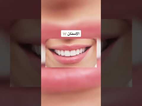 جسم الانسان تحت المجهر 