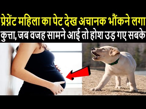 प्रेग्नेंट महिला का पेट देख अचानक भौंकने लगा कुत्ता, जब वजह सामने आई तो होश उड़ गए सबके...