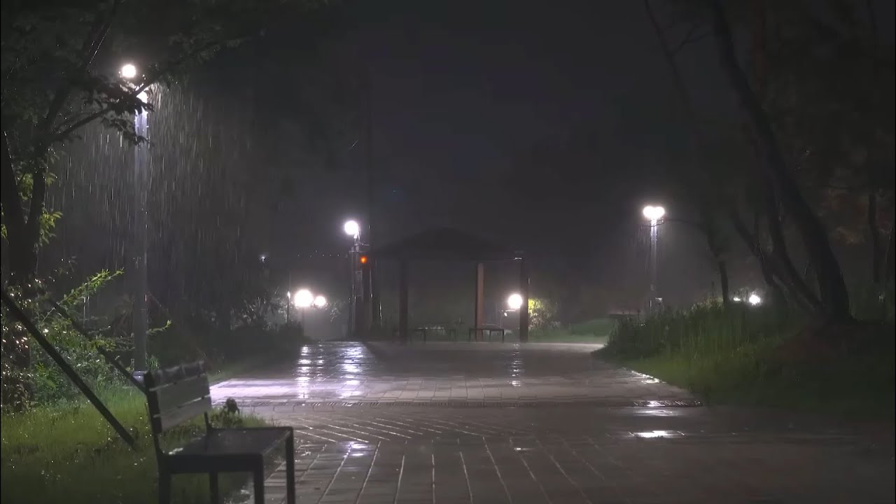 Goodbye Insomnia with Heavy Rain & Thunder Growls on a Stale Tin Roof in Foggy Murky Forest at Night