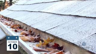 Do Leaves Clog Alu-Rex Gutter Guards? [October Time-Lapse]