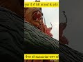 gufa me 9 deviyo k darshan🙏🏻#vaishnodevi#youtubevideo@rampurkachhora