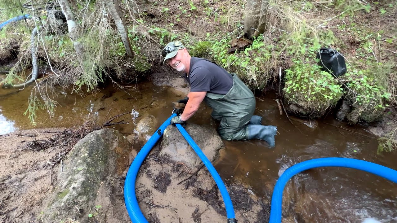 Guldvaskning i Sverige Blindsided