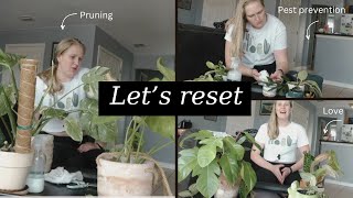 I HAVE MY PLANTS BACK!! Lets reset with lots of care