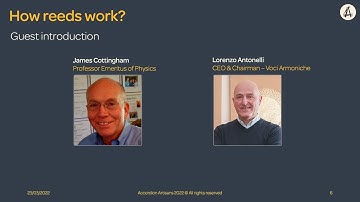 Accordion Artisans - How reeds work?