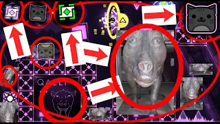 the pih music [made using editor collab w/ @Angusburgerr & @hibachidefect ]