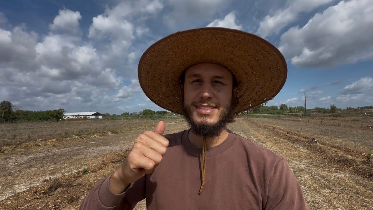 Cold front aftermath and plans going forward
