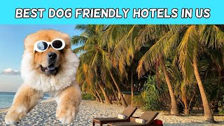 Top 5  BEST DOG FRIENDLY HOTELS in US | Best Hotels for your Furry Friend