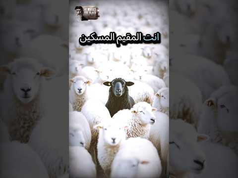 قداسه البابا شنودة الثالث محبه الله تقيم المسكين