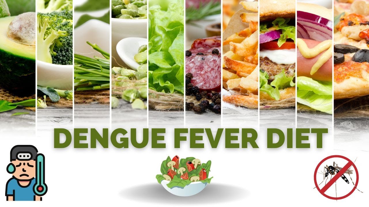 Dengue Fever Diet Foods To Eat With Dengue Diet Plan For Dengue 