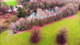 Mavic air - Abney Hall Park Cheadle STOCKPORT