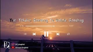 Denny Caknan Feat Guyon Waton - Widodari || Story WA