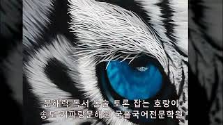 국어 독서 논술 토론  문해력 잡는 호랑이  송도 기파랑문해원 국풀국어 전문학원