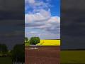 #переселенці  #українськийблогер #українськийютуб