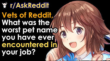 Vets of Reddit, What was the worst pet name you have ever encountered in your job?