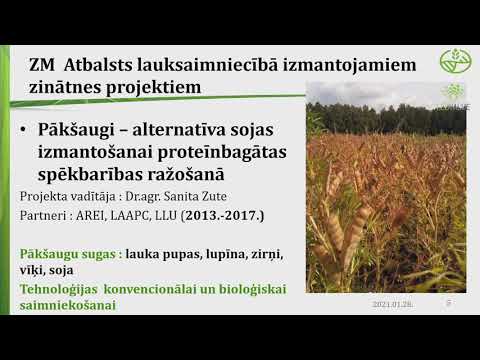 Video: Kādas Ir Sojas Pupu Blakusparādības?