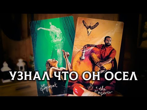 Ослик был сегодня зол, он узнал, что он осел! В чем он просчитался?