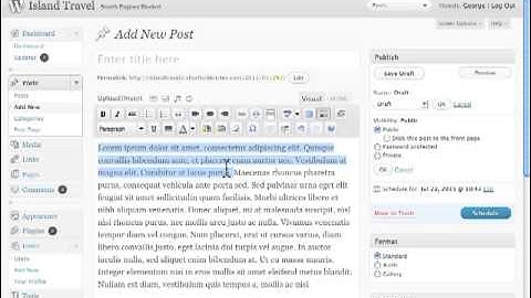 Basic Concepts in Text Editor WordPress Tutorial