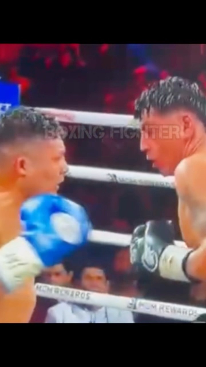 CUÁNTO DINERO GANÓ EL PITBULL CRUZ VS TASHIRO FIERRO