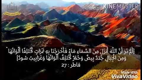 تلاوة رائعة للاية ٢٧من سورة فاطر مع صوت الشيخ محمد صديق المنشاوي