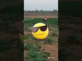 mini volg new video #viral #ytshorts #travelvlog #song