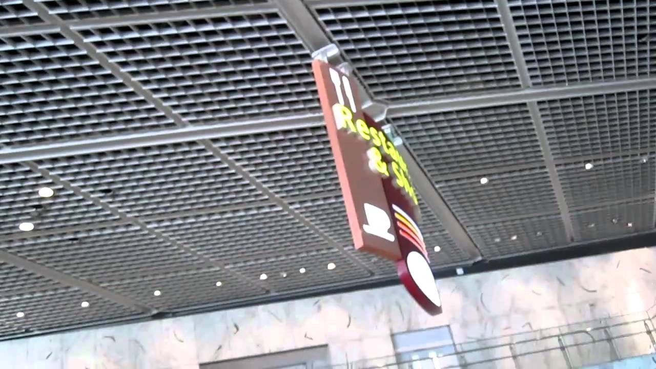 Japan Earthquake (2/3)  In Narita Airport Second Tremor