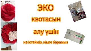 ЭКО. Квота алу. Квота қалай аламыз.ТЕЗ, ОҢАЙ эко анализдері.