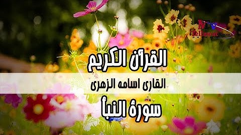 سورة النبأ  القرآن الكريم/سورة النبأ القاري اسامه الزهري