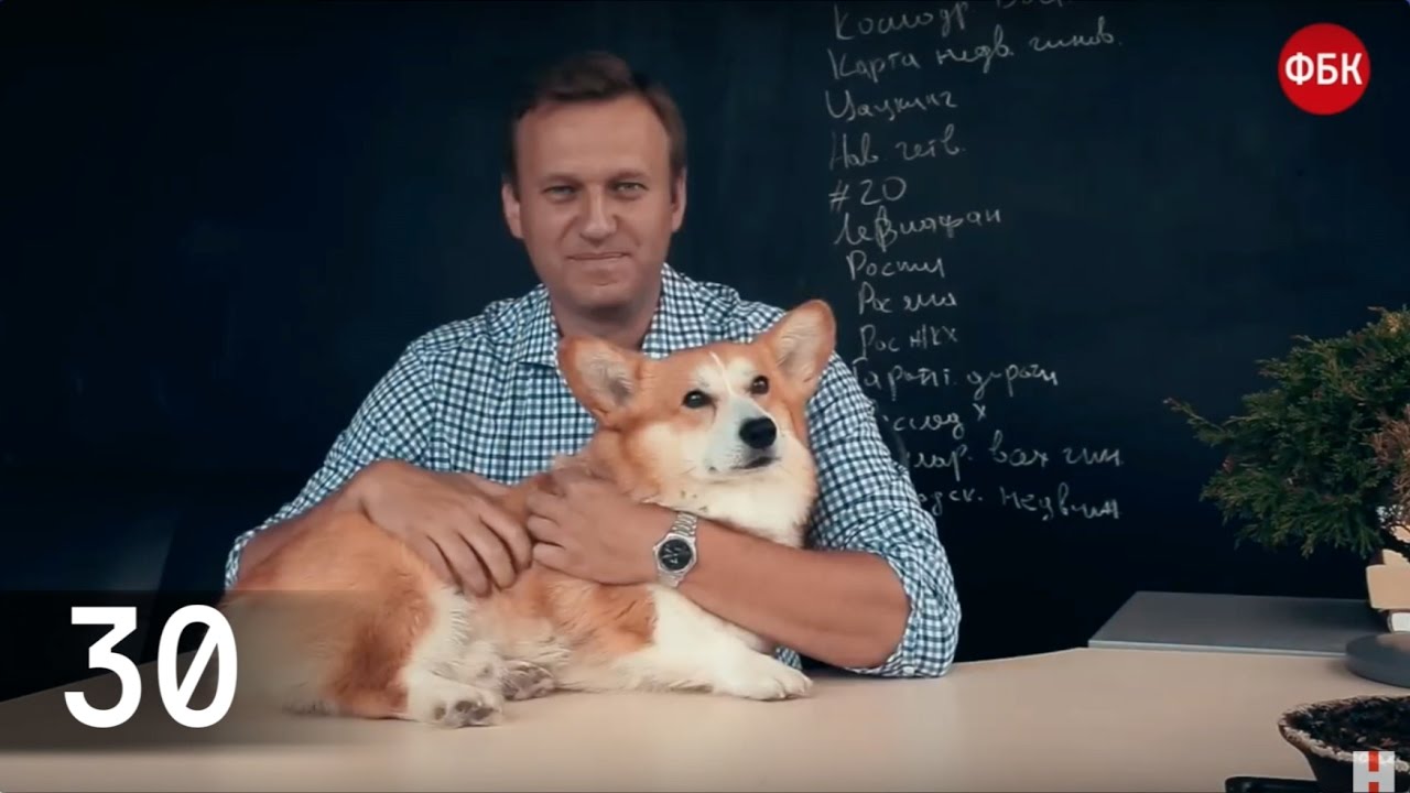 Видеоканал Алексея Навального в 2016 году