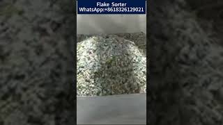 Flake Sorter#plasticrecycling #bottleflakes #opticalsorter #polymersorting WA:+8618326129021